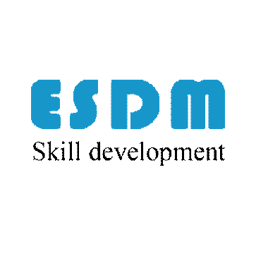 ESDM